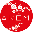 Logo Akemi